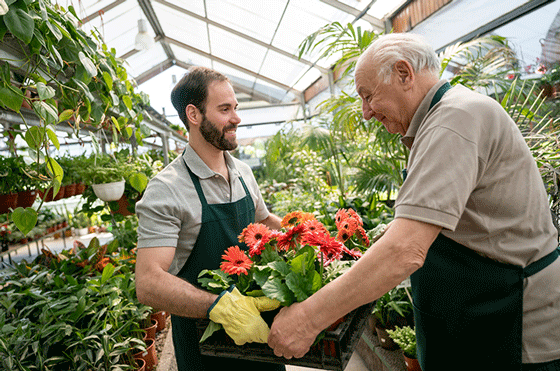 Two men working in a nursery suggesting jobs outdoor or in nature jobs are among the best jobs for people with PTSD